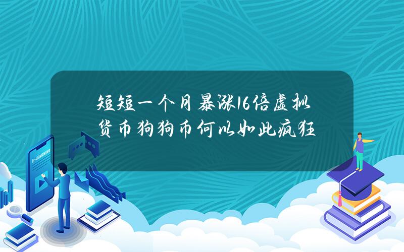 短短一个月暴涨16倍 虚拟货币狗狗币何以如此疯狂？