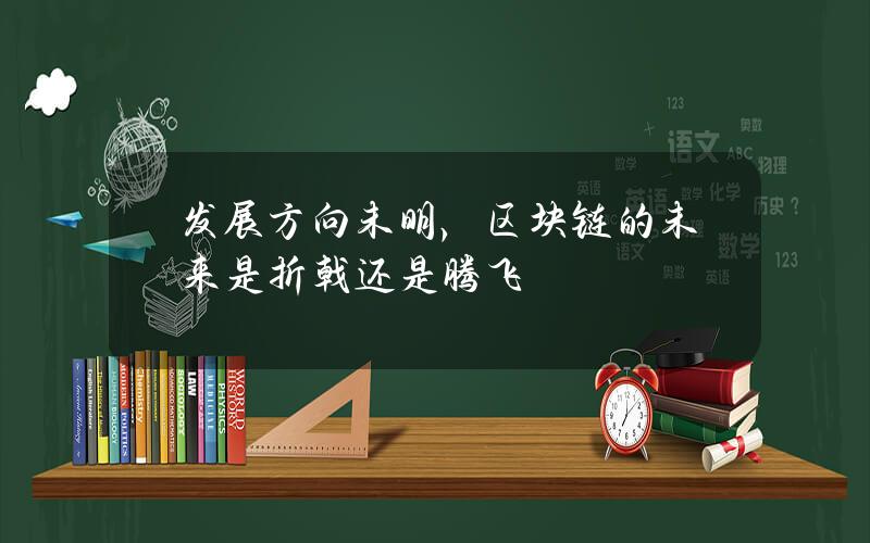 发展方向未明，区块链的未来是折戟还是腾飞？