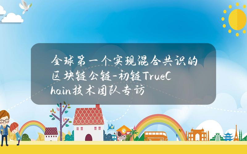 全球第一个实现混合共识的区块链公链-初链TrueChain技术团队专访