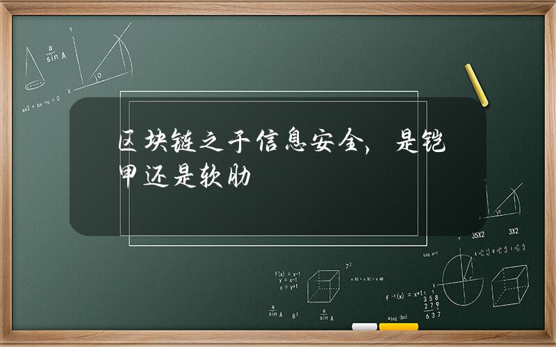 区块链之于信息安全，是铠甲还是软肋