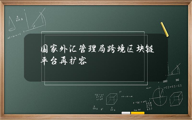 国家外汇管理局跨境区块链平台再扩容