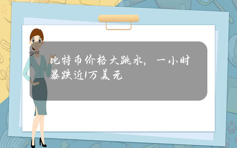 比特币价格大跳水，一小时暴跌近1万美元