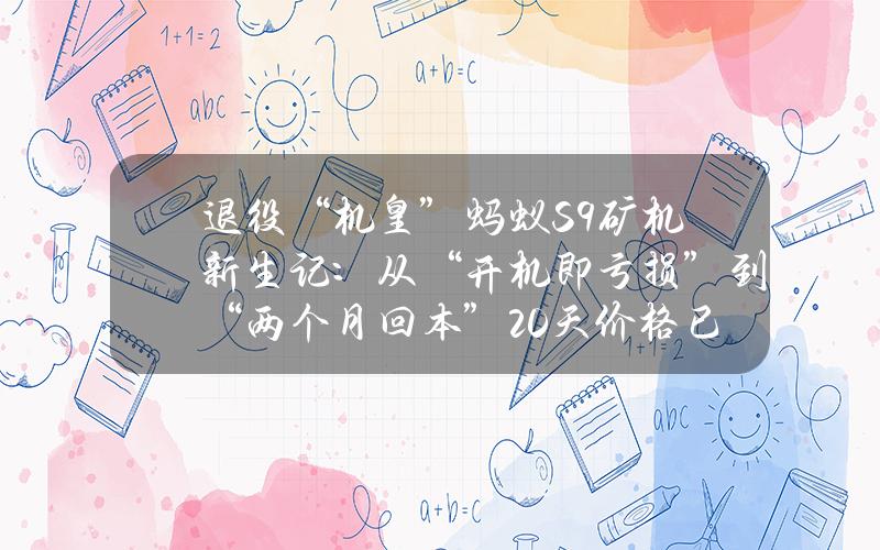 退役“机皇”蚂蚁S9矿机新生记：从“开机即亏损”到“两个月回本”20天价格已翻番