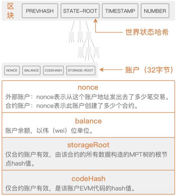 如何降低运行区块链全节点成本?这里有全新轻节点方案